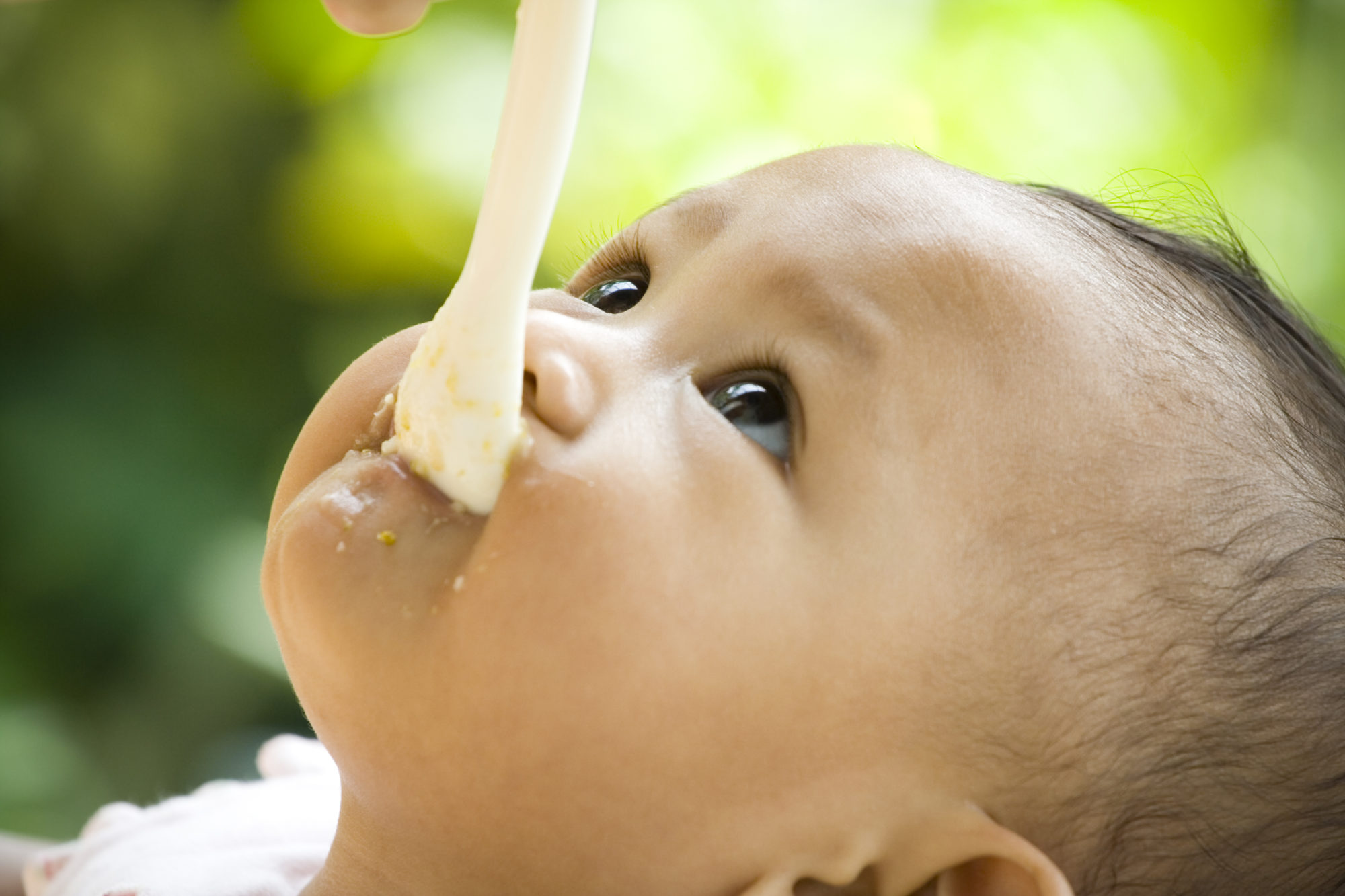 Bébé mangeant à la cuillère